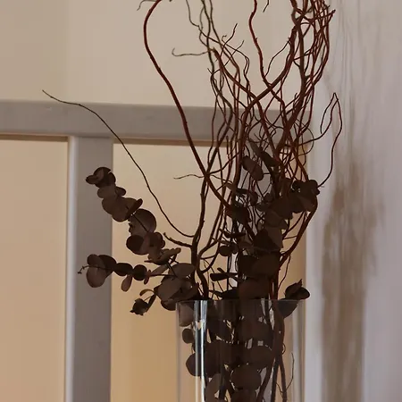 Anemos Villa Himarë