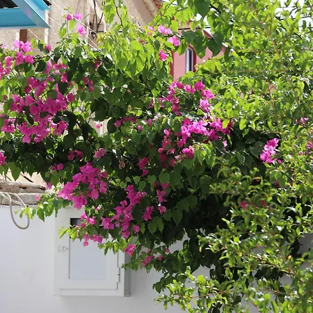 Anemos Villa *
