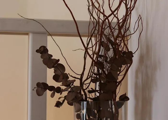 Anemos 别墅 希马拉